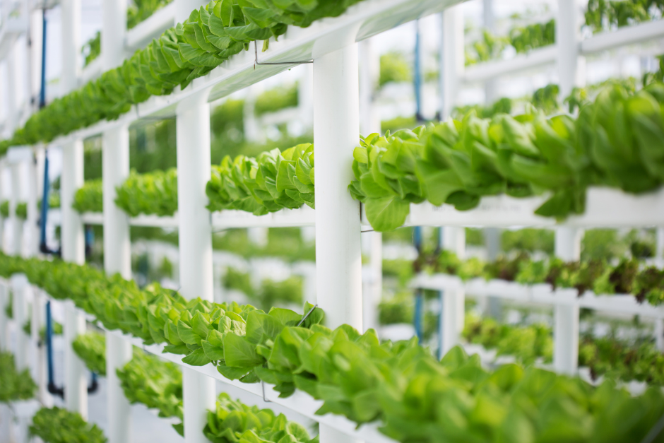 Agriculture - Vertical Farming